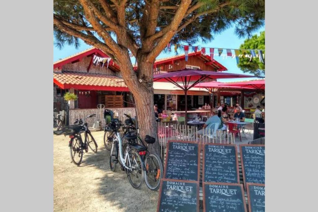 Colibri Appart' T2 Au Coeur Du Bassin D'Arcachon Gujan-Mestras Exterior foto
